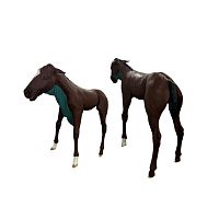 Veterinary training manikin palpationfor intubationfor dystocia