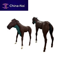 Veterinary training manikin palpationfor intubationfor dystocia