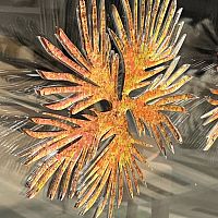 Interior decorative panel Nadeshikofurniturelightweightacrylic