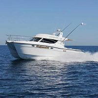 Catamaran express cruiser 350 Sports Expressoutboarddieseltwin-engine