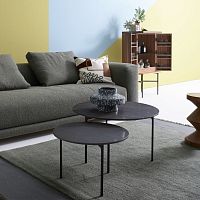 Contemporary coffee table STINGwalnutashoak