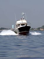 Inboard express cruiser 35 TOURNAMENT EXPRESSflybridgedowneast