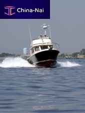 Inboard express cruiser 35 TOURNAMENT EXPRESSflybridgedowneast