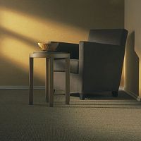 Woven carpet 1104/117729loop pilecoirsisal