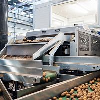 Vegetable grader SDe seriesmechanicalvibratingwith conveyor