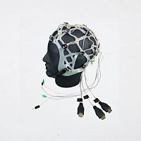 32-channel EEG cap eCap Dry64-channel19-channeladult