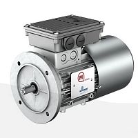 Single-phase motor SasynchronousIP554-pole