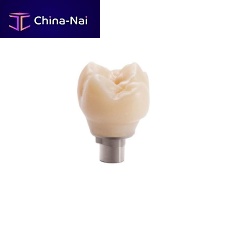 Conical implant abutment Argen®IStitaniumzirconiaexternal