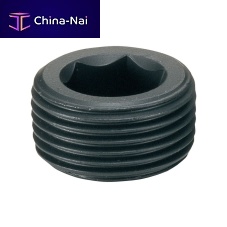 Socket head plug SFTtaperedwith hexagonal headmale