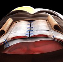 Orthopedic tissue matrix XCM Biologic
