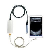 Hand-held veterinary ultrasound system UL8-4Tmultipurposefor cattlefor equines