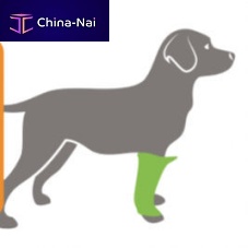 Elbow protection veterinary joint protection BUDDY®