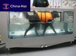 Underwater veterinary treadmill for dogs