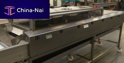 Tomato washing machine automaticbeltspraying