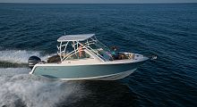Outboard runabout 245 DCopenhard-topski
