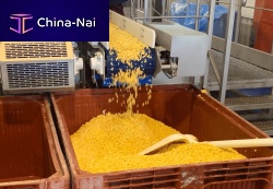 Processing line for the food industry IQFcorn