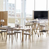 Contemporary chair ZONESindoorplasticwooden base