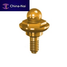 Titanium implant abutment Easy Linkinternal hexagonstraightscrew