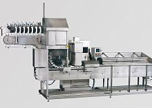 Herring fish gilling machine