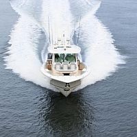 Cruising motor yacht 530 LXFsport-fishinghard-top1-cabin
