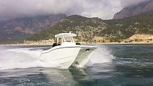 Catamaran cabin cruiser 30 Sport Fisher outboardtwin-enginehard-top