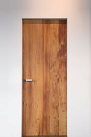 Interior door PHNIXwoodenswingwithout glazing