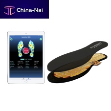 Gait evaluation system STRIDALYZER PRISMbarometric analysiswearable