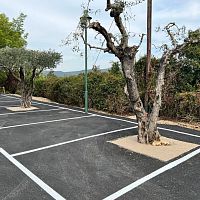 Cork flooring RSINEO® ARBREmarble dustresinfor outdoor use