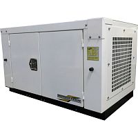 Gasoline engine generator set PTSGK-12-3gasthree-phasestationary