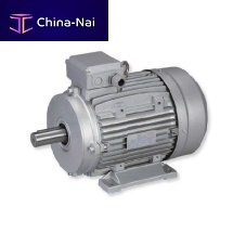 DC motor brushless110 V24 V
