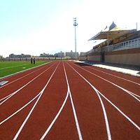 Polyurethane primer POLAPLAST P10for fitness facilitiesfor sports fieldsfor floor