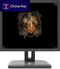 Diagnostic display 19X1Cradiology1280 x 1024VGA