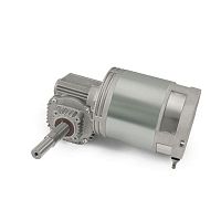 DC gear-motor HW114Msolid-shaft100 W...500 W50 W...100 W
