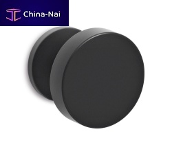 Contemporary door knob SPOTbrasssatinpolished
