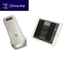 Hand-held veterinary ultrasound system UProbe-2Bmultipurposefor felineswireless probe