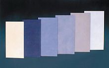 Sheet molybdenum plate