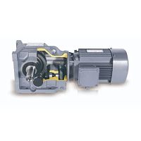 AC gear-motor K seriesservomotorwormbevel