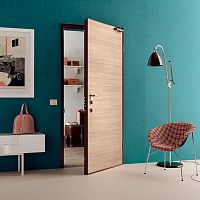 Fire-rated door Drago 30interiorgalvanised steelswing