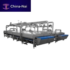 Pasta pasteurizer steamtunnel