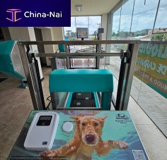 Underwater veterinary treadmill for dogs