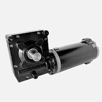 DC gear-motor WG4 Serieswormright anglesolid-shaft