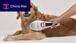 Veterinary biostimulation laser PowerTwin XP5diodehand-held