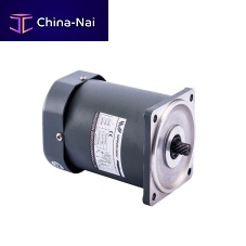 AC motor 60YS06GV11induction380 V220 V
