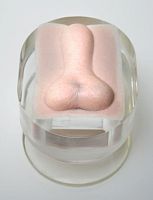 Orchiectomy simulator NEUTERveterinarycaninepenis