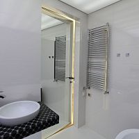 Interior door MIRRORglassaluminumswing