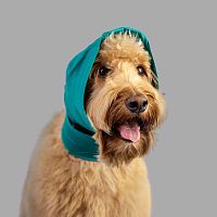 Veterinary bandage No Flap