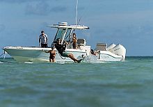 Outboard bay boat 280 DAUNTLESStwin-enginecenter consoleopen