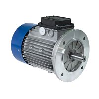 Squirrel cage motor SM-SMX seriesthree-phaseinduction400 V