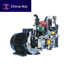 Diaphragm pump AR 30 EM BlueFlex GCI (GI 40)waterwith electric motorstationary