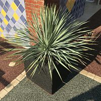 EPDM flower pot HEXDALLE® HEXCUBErubberfree-standingcube